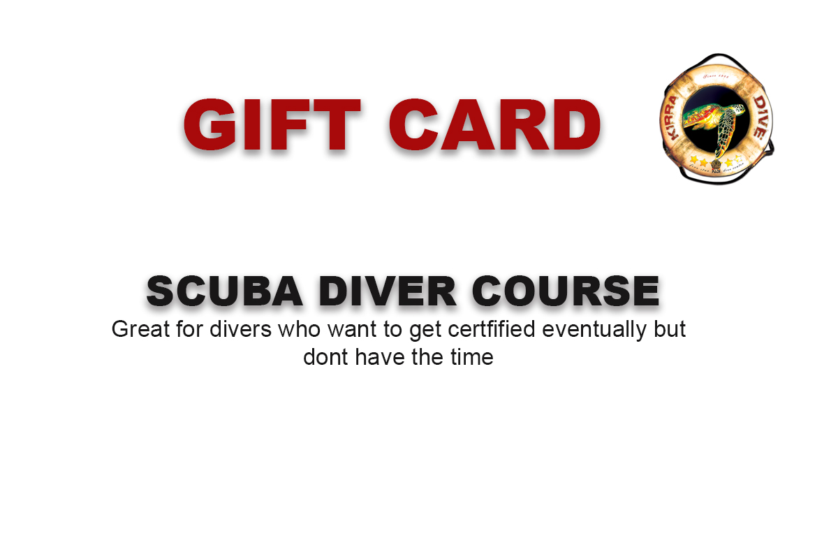 Scuba Diver  Gift Card (under 14 Yrs)